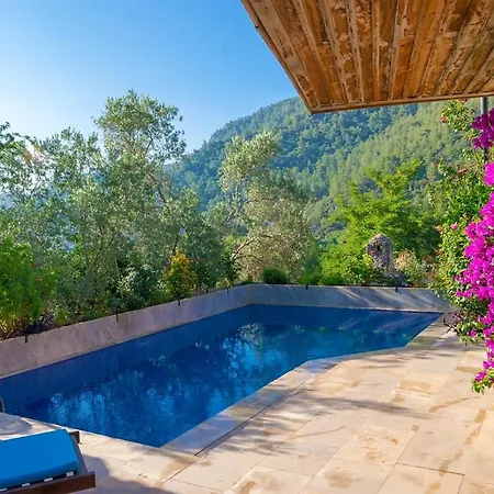 Villa Limon